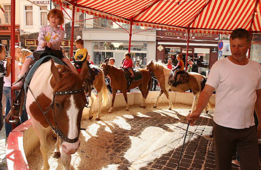PONEYS