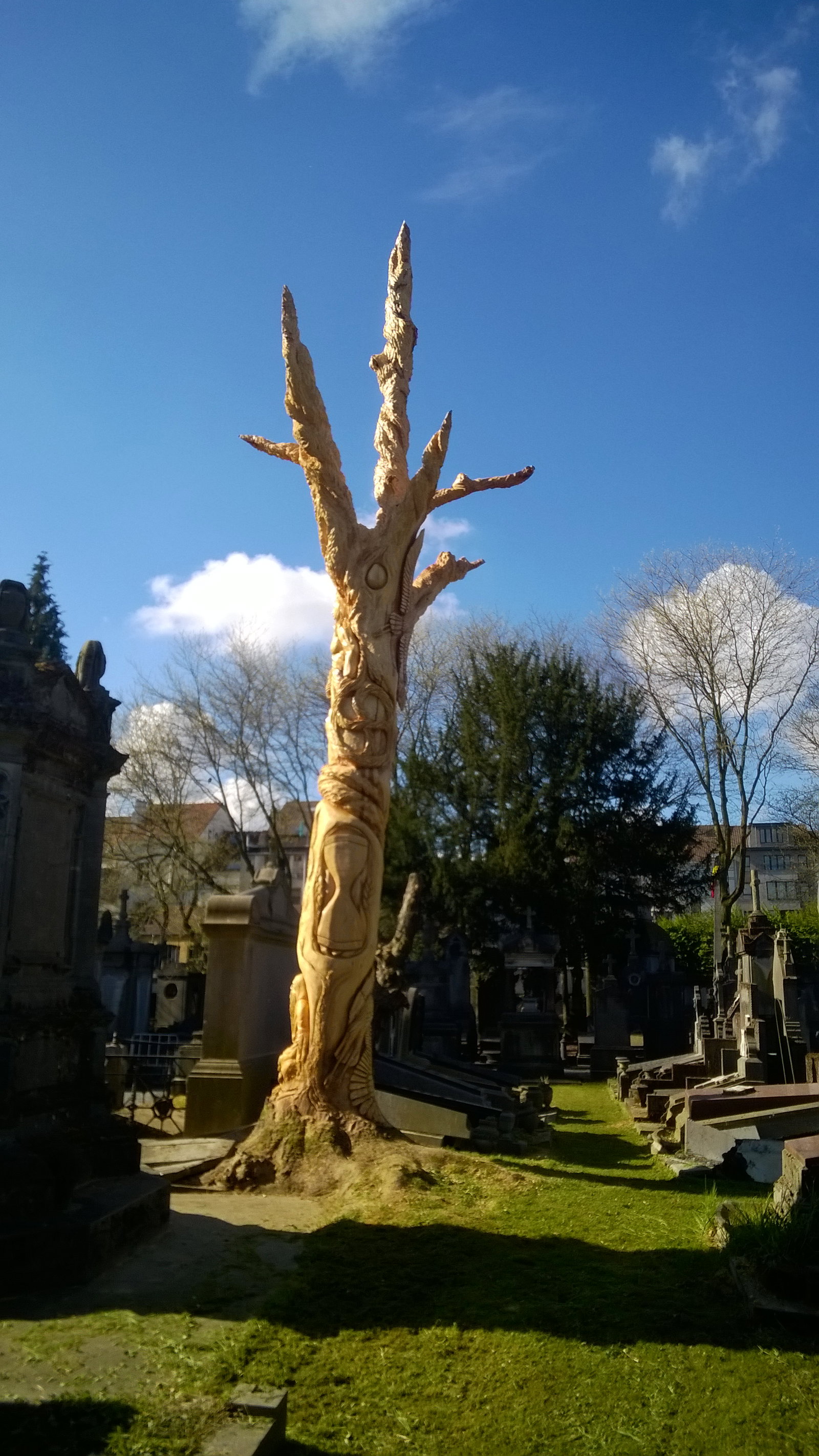 Arbre-sculpté