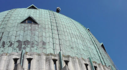 Des bébés faucons trouvés sur le haut de la Basilique de Koekelberg - BX1