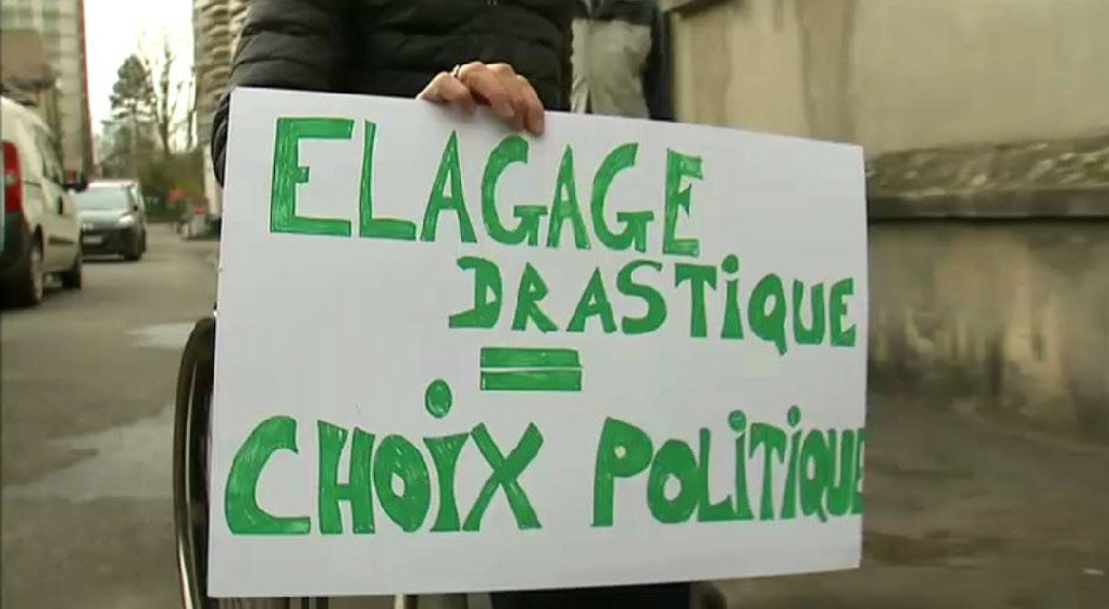 Élagage des marronniers à Forest: le collectif citoyen entendu par Pascal Smet - BX1