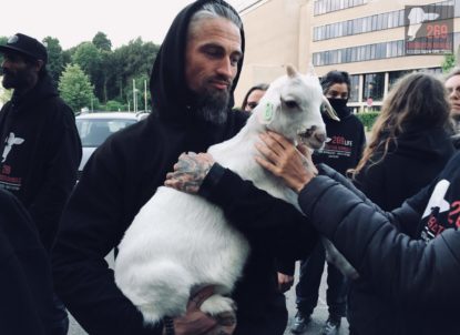 Une quarantaine d'activistes de la cause animale pénètrent dans les abattoirs d'Anderlecht - BX1