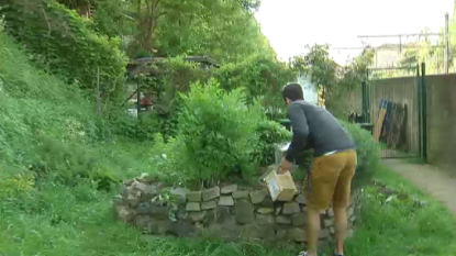 Installation de nichoirs à abeilles à Bruxelles dans le cadre d'une étude sur l'évolution des espèces - BX1