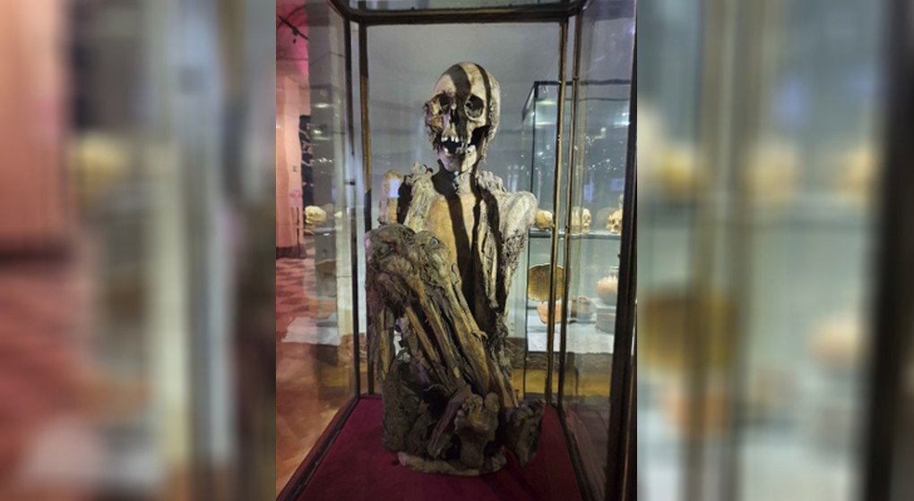 Momie Rascar Capac - Musée Art et Histoire Cinquantenaire