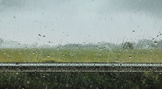 Pluie