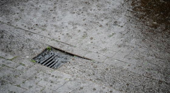 Pluie illustration - Belga Laurie Dieffembacq