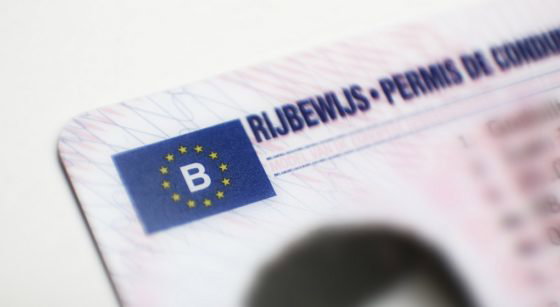 Permis de conduire Illustration - Belga Siska Gremmelprez