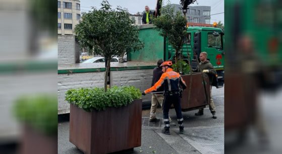 Bacs arbres Rue de Flandre Bruxelles - Bart Dhondt Twitter