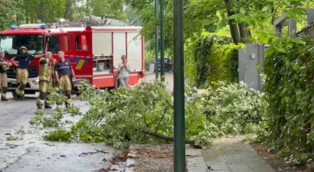 Pompiers Orage Arbres 19052022 - Capture Caravaggio