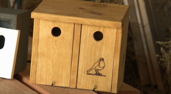 Nichoir Moineaux Oiseaux Schaerbeek - Capture BX1