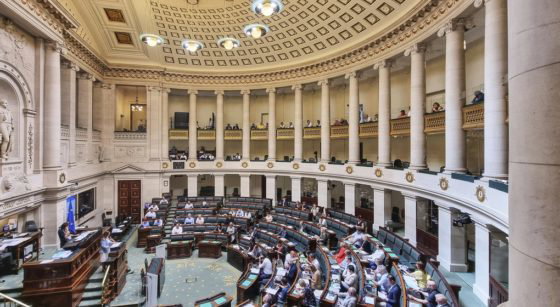 Chambre Parlement fédéral Illustration - Belga Hatim Kaghat