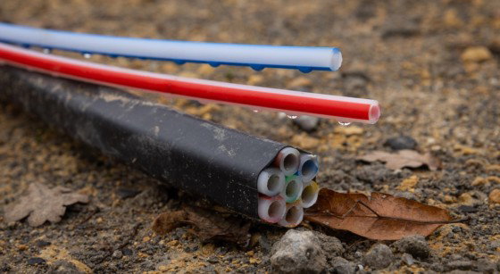 Fibre optique Proximus - Belga James Arthur Gekiere