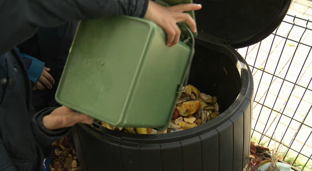 Eco School