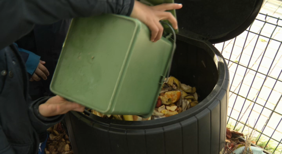 Eco School