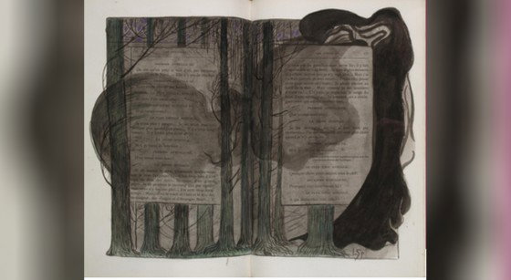 Illustration Leon Spilliaert - Fonds Roi Baudouin Luc Schrobiltgen