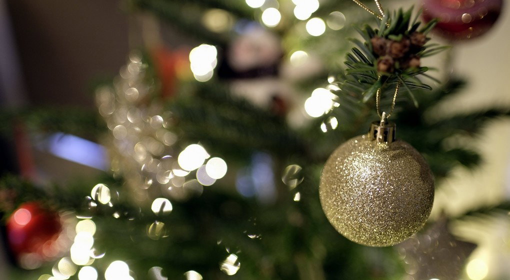 Sapin de Noël - Illustration Belga Eric Lalmand