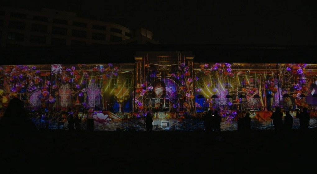 Bright Brussels 2023 - Mapping Musée des Sciences Naturelles - BX1