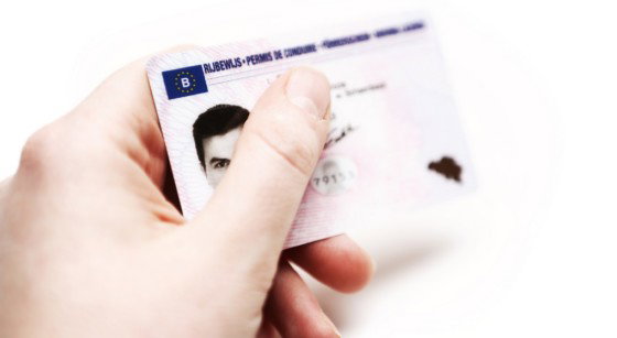 Nouveau Permis de Conduire - Illustration Belga Siska Gremmelprez