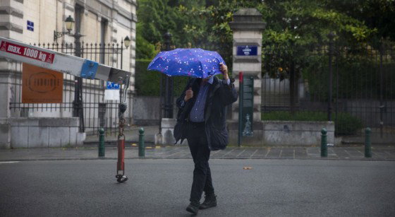 Pluie Parapluie Averses Bruxelles - Illustration Belga Nicolas Maeterlinck